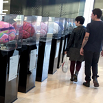 The Brain Project’s 100 brain sculptures assemble at Yorkdale Shopping Centre